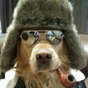 Meet your Posher, Jamie